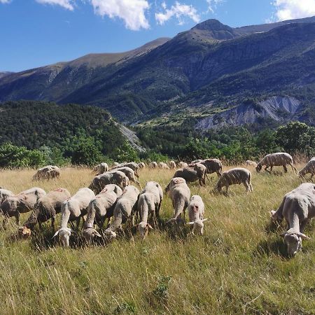 La Peyregoune, Logement En Pleine Nature Et Table D'Hotes Blieux エクステリア 写真