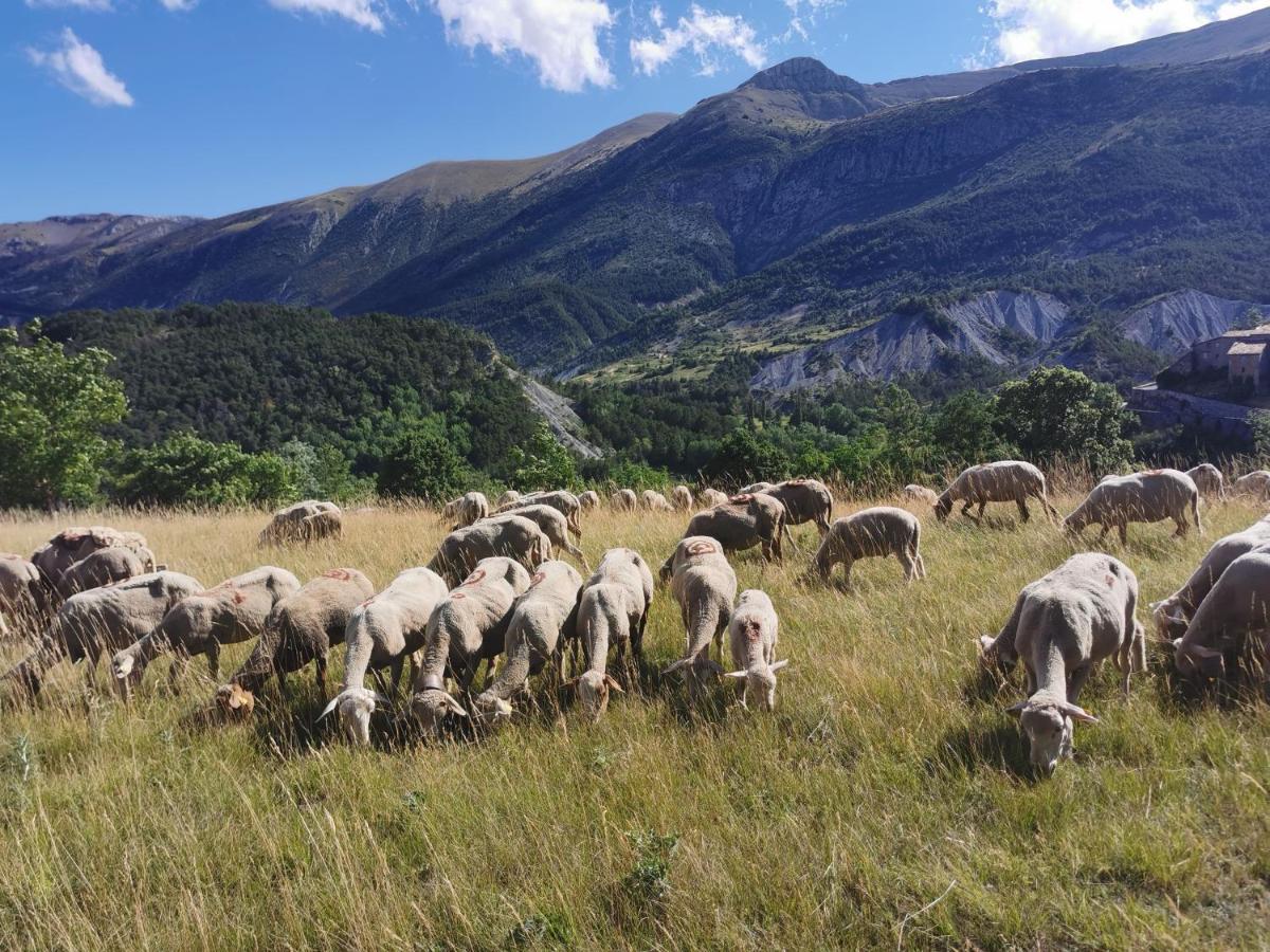 La Peyregoune, Logement En Pleine Nature Et Table D'Hotes Blieux エクステリア 写真